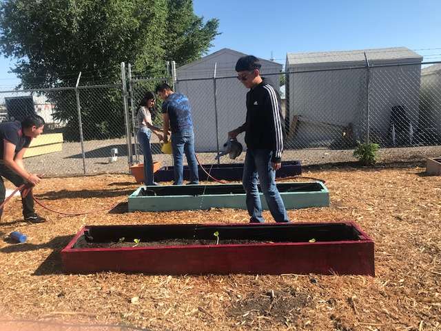 Students tending raised garden beds at South Valley Prep